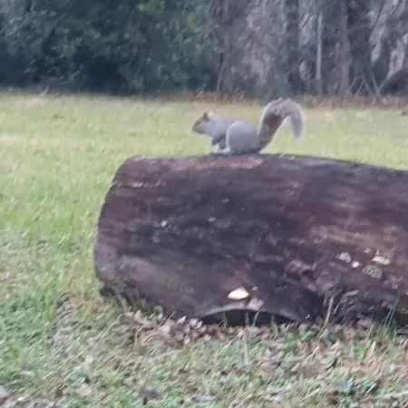 Casa Cascina Ronco- Natura E Relax Vicino Di