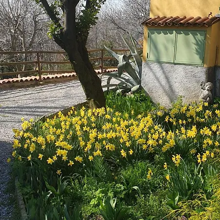 Casa Cascina Ronco- Natura E Relax Vicino Di