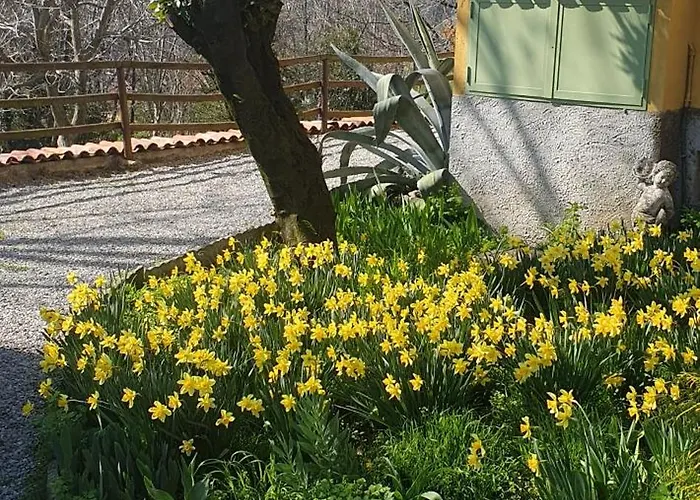 Casa Cascina Ronco- Natura E Relax Vicino Di