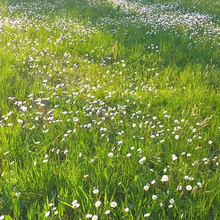 Casa Cascina Ronco- Natura E Relax Vicino Di * Эрба