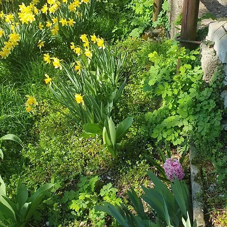 Casa Cascina Ronco- Natura E Relax Vicino Di Апартаменты